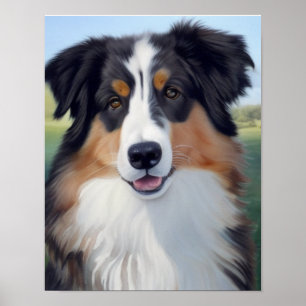 Australian Shepherd Portrait - Poster