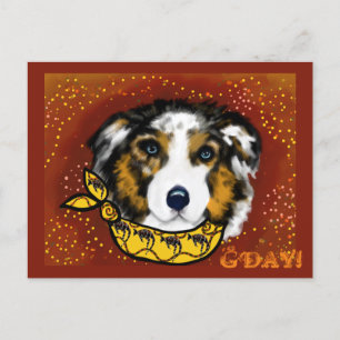AUSTRALIAN SHEPHERD       POSTCARD