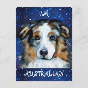 Australian Shepherd Postcard