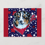 AUSTRALIAN SHEPHERD POSTCARD