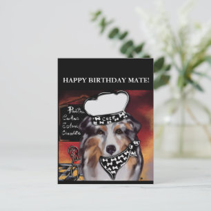 AUSTRALIAN SHEPHERD  POSTCARD