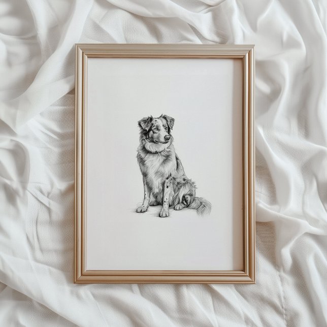 Australian Shepherd Print, Aussie Dog Sketch, PRIN Poster (Creator Uploaded)