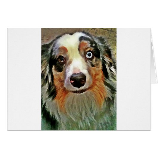 Australian Shepherd Print Cards (Front Horizontal)