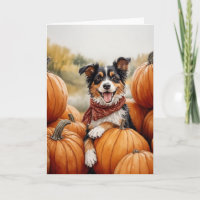 Australian Shepherd Pumpkin Patch