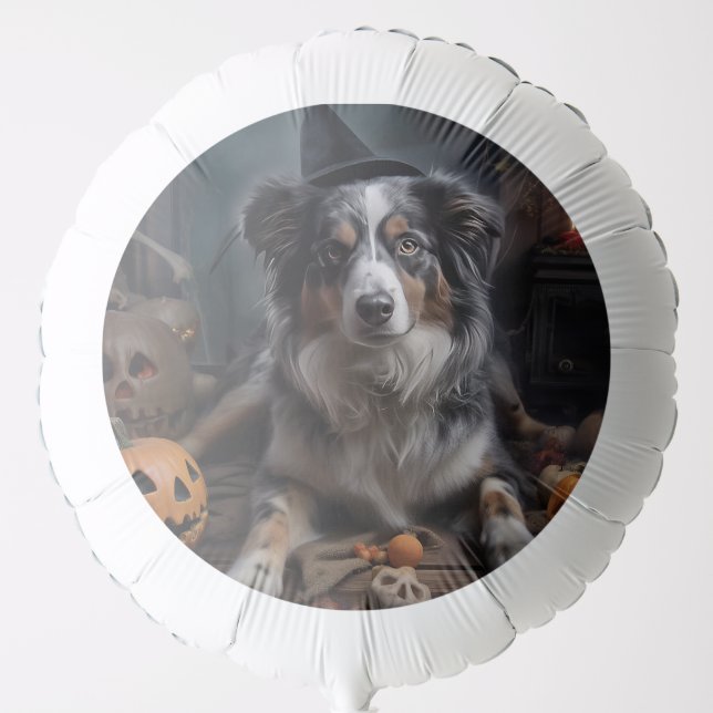 Australian Shepherd Pumpkins Halloween Scary Balloon (Front)