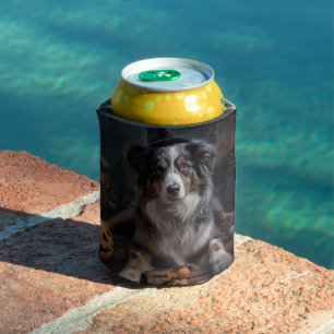 Australian Shepherd Pumpkins Halloween Scary Can Cooler