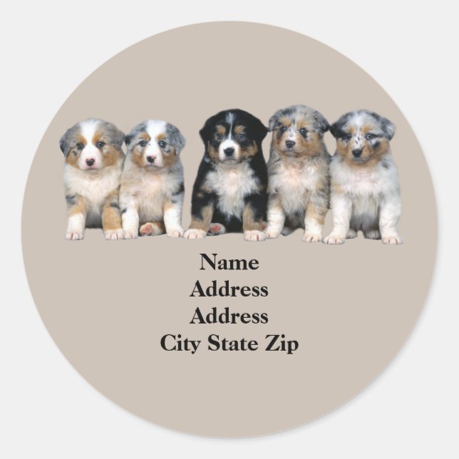 Australian Shepherd Puppies Address Label (Front)
