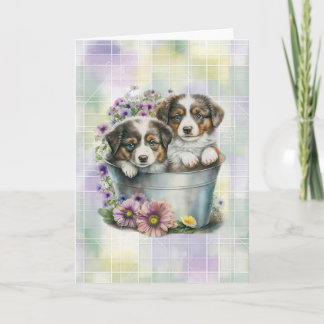 Australian Shepherd Puppies Blank Folded Note Card