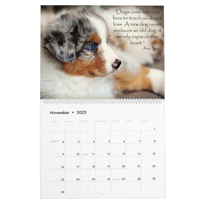 Australian Shepherd Puppies Calendar Zazzle