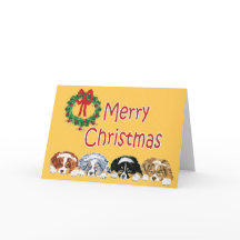 Australian Shepherd Puppies Christmas Card