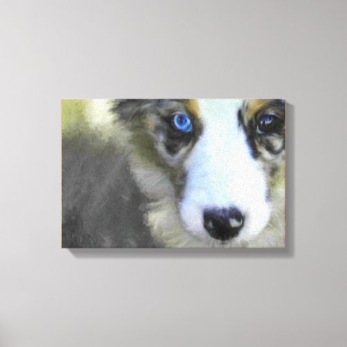 Australian Shepherd Puppy 1 Canvas Print