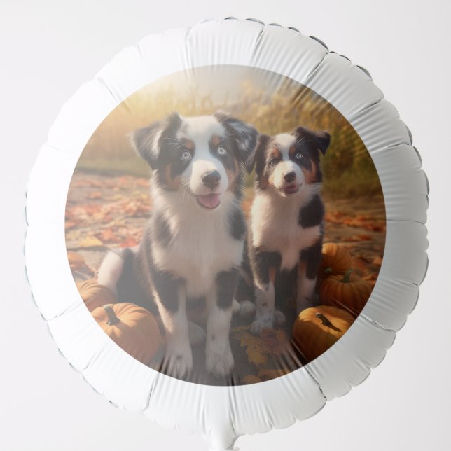 Australian Shepherd Puppy Autumn Delight Pumpkin Balloon (Front)