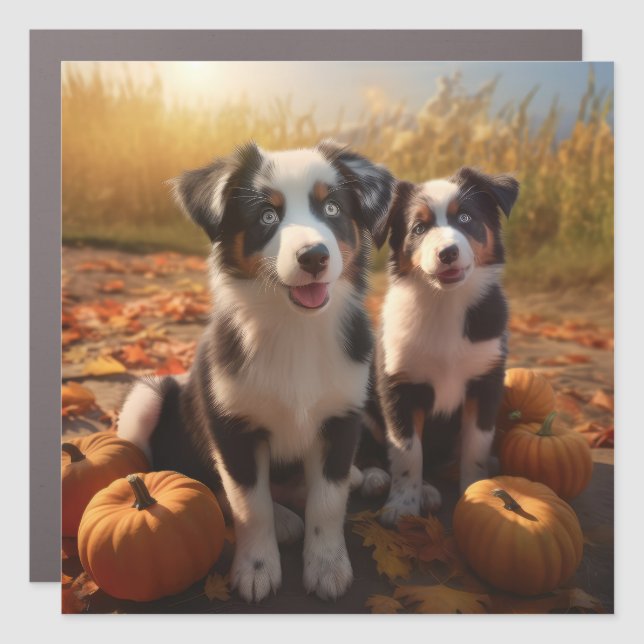 Australian Shepherd Puppy Autumn Delight Pumpkin Car Magnet (Front)