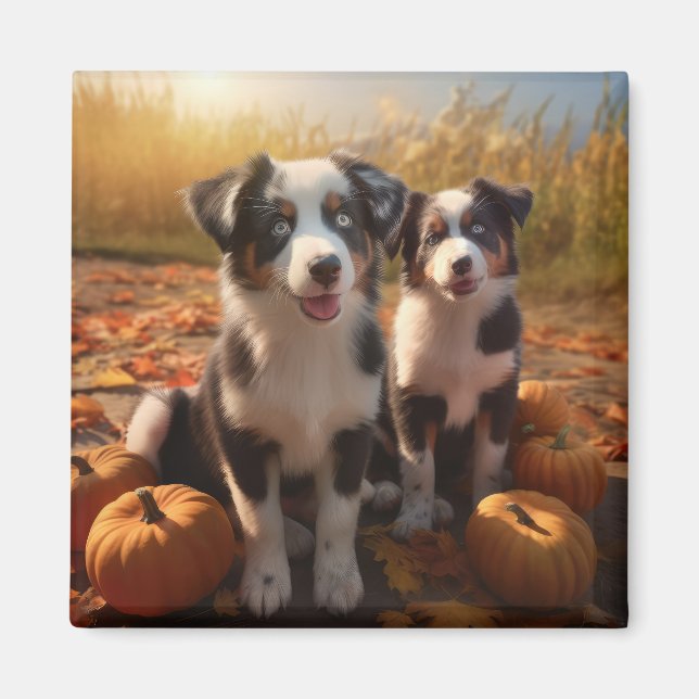 Australian Shepherd Puppy Autumn Delight Pumpkin Magnet (Front)