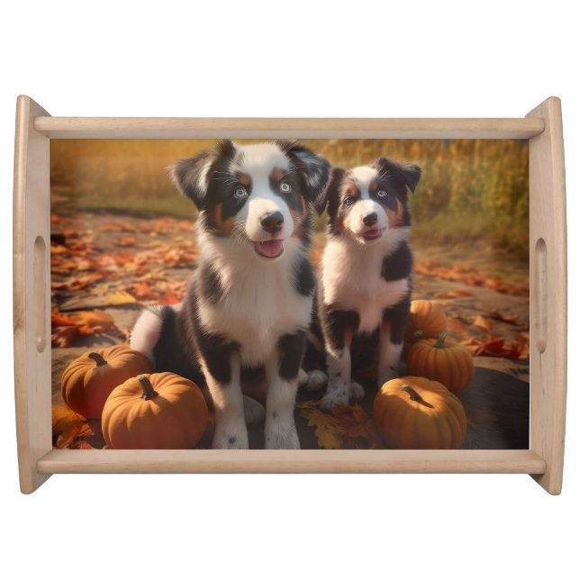 Australian Shepherd Puppy Autumn Delight Pumpkin Serving Tray (Front)