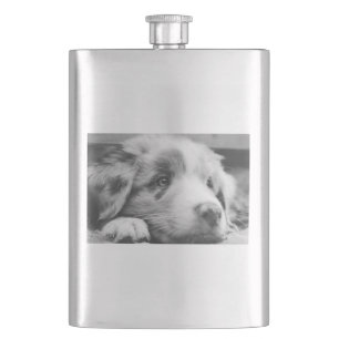 australian shepherd puppy bw flask