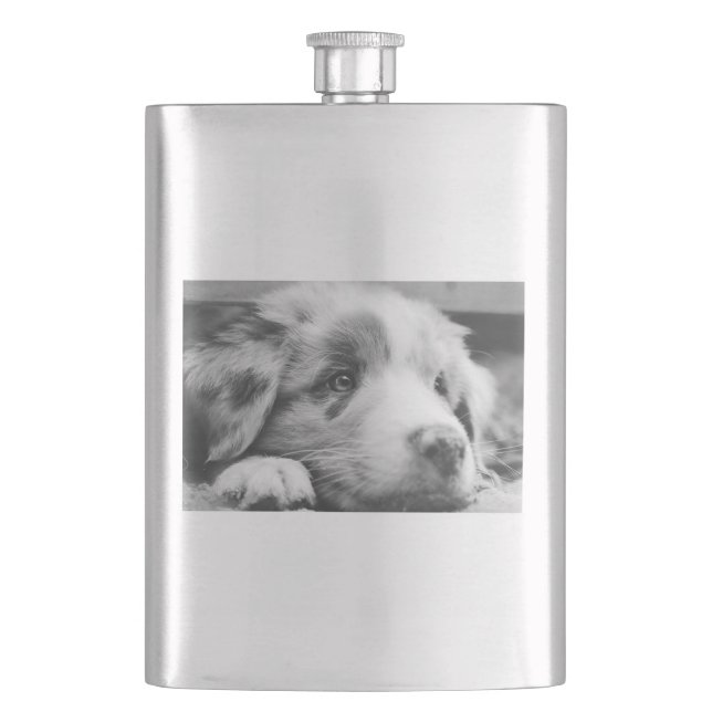 australian shepherd puppy bw flask (Front)