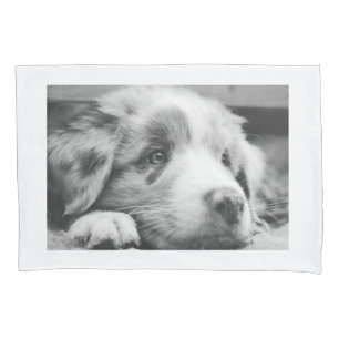 australian shepherd puppy bw pillow case
