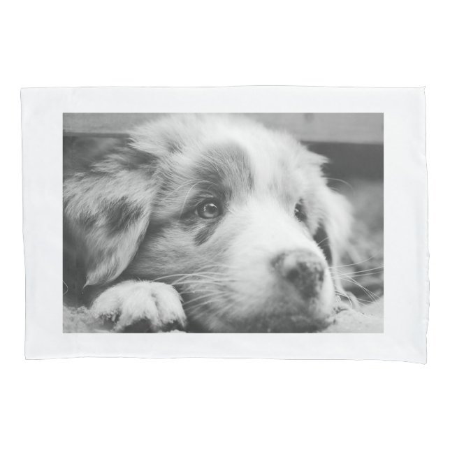 australian shepherd puppy bw pillow case (Front)