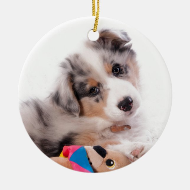 Australian shepherd puppy ceramic ornament (Front)