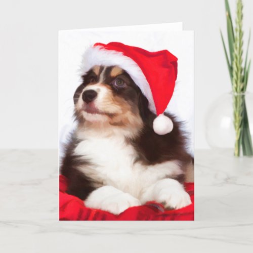 Australian Shepherd Puppy Christmas Greeting Cards