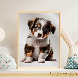 Australian Shepherd Puppy Dog Graphic Nursery Art Poster