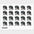 Australian Shepherd Puppy Dog Love Aussie Square Sticker | Zazzle
