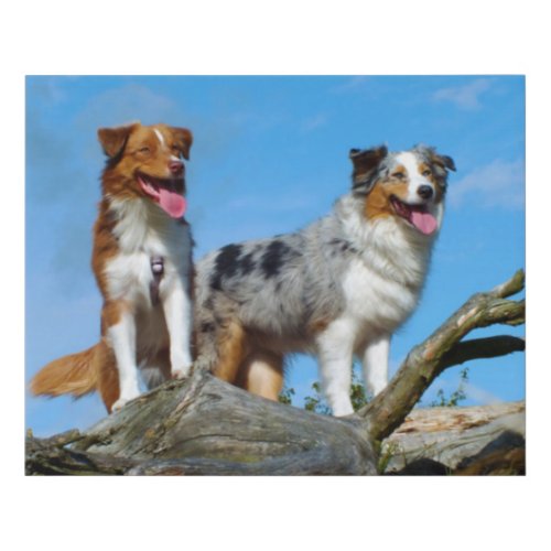  Australian Shepherd Puppy Dogs Faux Canvas Print