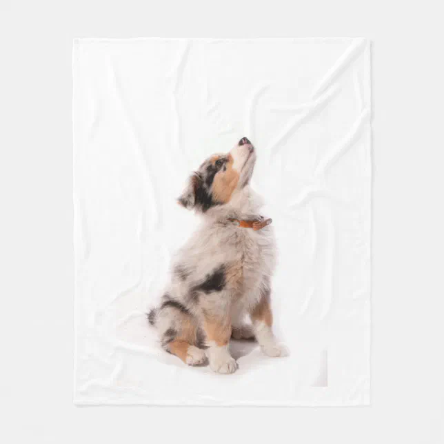 Australian shepherd puppy fleece blanket Zazzle
