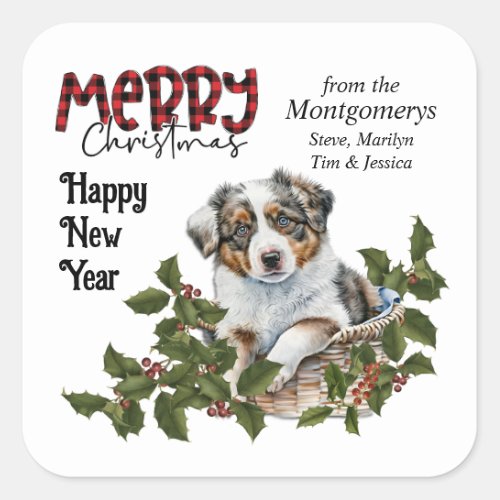 Australian Shepherd Puppy Holly Basket Christmas Square Sticker