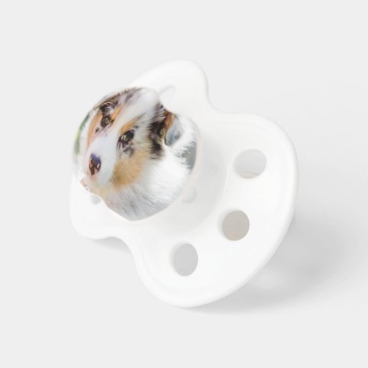 Australian shepherd puppy pacifier (Front Right)