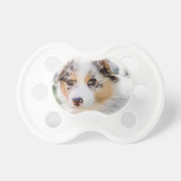 puppy pacifier