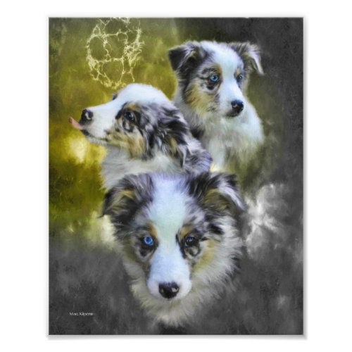 Australian Shepherd Puppy Triad Photo Print
