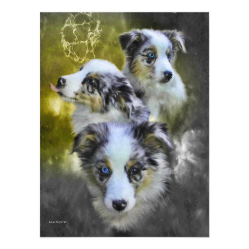 Australian Shepherd Puppy Triad Photo Print