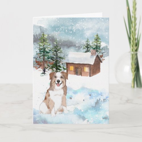 Australian Shepherd Red Christmas Card