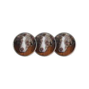 australian shepherd red merle laying flat golf ball marker