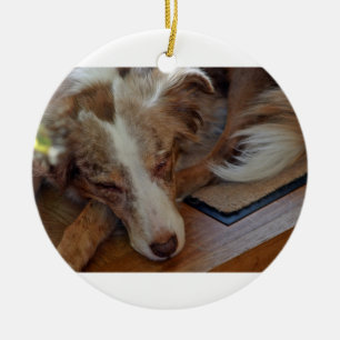 australian shepherd red merle sleeping ceramic ornament