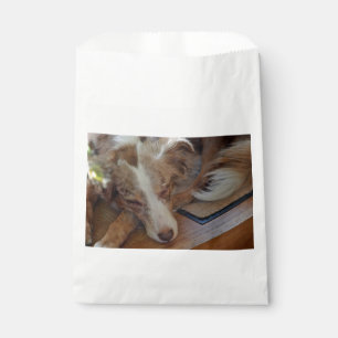 australian shepherd red merle sleeping favor bag