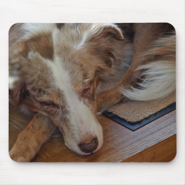 australian shepherd red merle sleeping mouse pad (Front)
