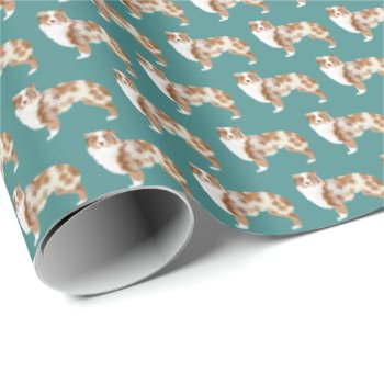 Australian Shepherd Red Merle Wrapping Paper by FriendlyPets at Zazzle