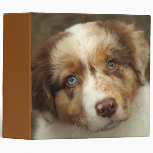 Australian Shepherd Red Puppy 3 Ring Binder