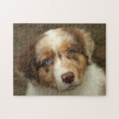 Australian Shepherd Red Puppy Jigsaw Puzzle