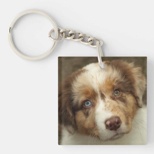 Australian Shepherd Red Puppy Keychain