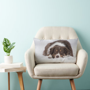australian shepherd red tri laying in snow lumbar pillow