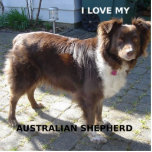 australian shepherd red tri love w pic cutout<br><div class="desc">a</div>