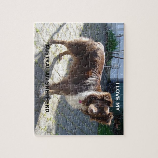 australian shepherd red tri love w pic jigsaw puzzle (Vertical)