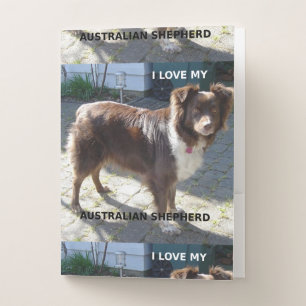 australian shepherd red tri love w pic pocket folder