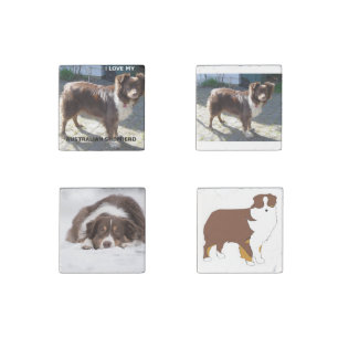 australian shepherd red tri love w pic stone magnet