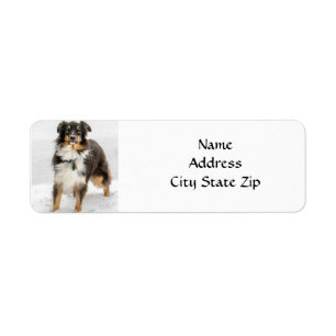 *AUSTRALIAN SHEPHERD* RETURN ADDRESS LABEL