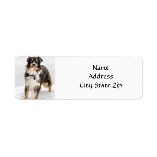 AUSTRALIAN SHEPHERD RETURN ADDRESS LABEL